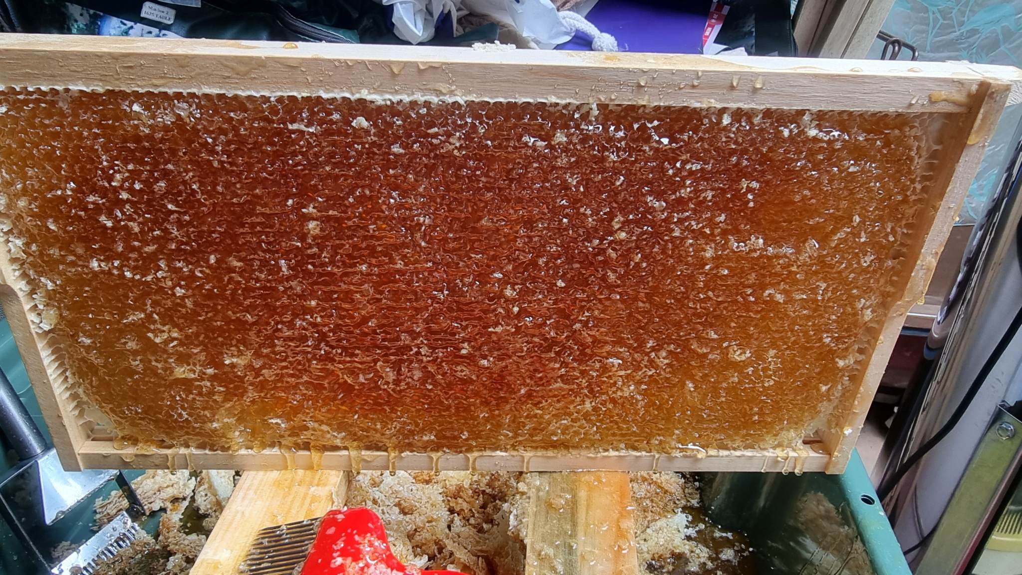 Honey Facts